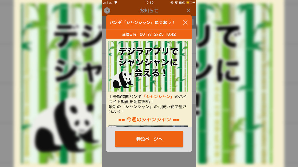 KDDI (au)：『デジラアプリ』で配信中、上野動物園のジャイアントパンダ「シャンシャン」のハイライト動画を見る方法