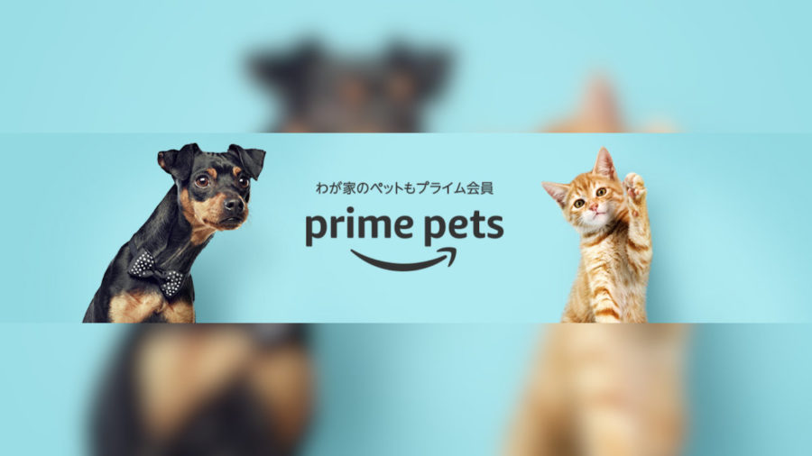 Amazonプライムペット ペット情報を登録するだけ 割引価格でペット用品を買えたりお役立ち情報が届く T011 Org