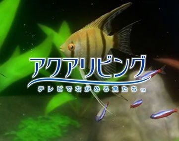 [Wii Ware] アクアリビング ～テレビでながめる魚たち～ / 任天堂（2010）